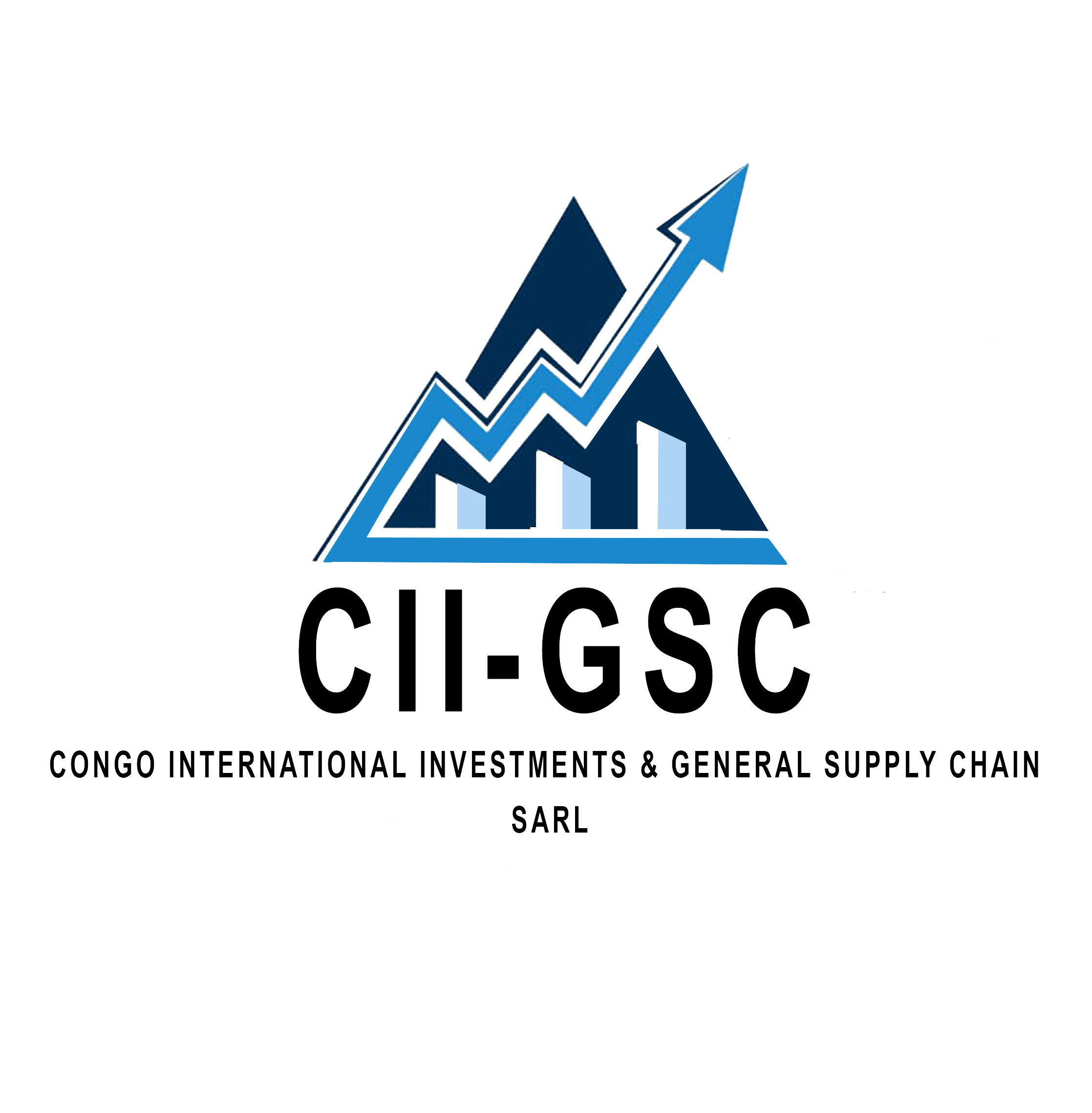 CONGO INTERNATIONAL INVESTMENTS